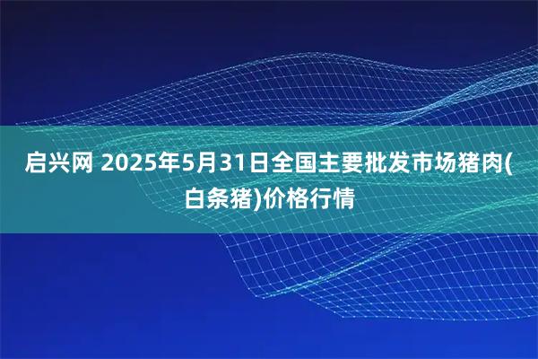 启兴网 2025年5月31日全国主要批发市场猪肉(白条猪)价格行情
