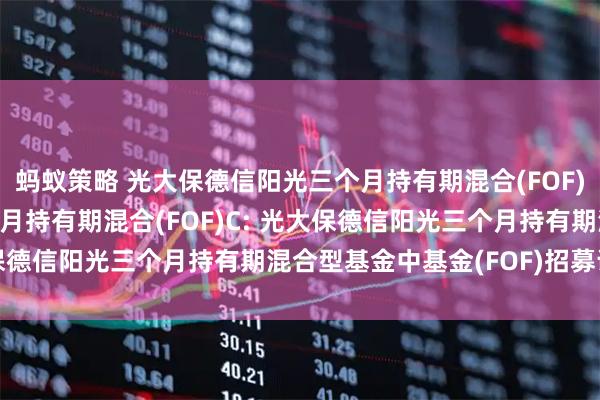 蚂蚁策略 光大保德信阳光三个月持有期混合(FOF)A,光大保德信阳光三个月持有期混合(FOF)C: 光大保德信阳光三个月持有期混合型基金中基金(FOF)招募说明书